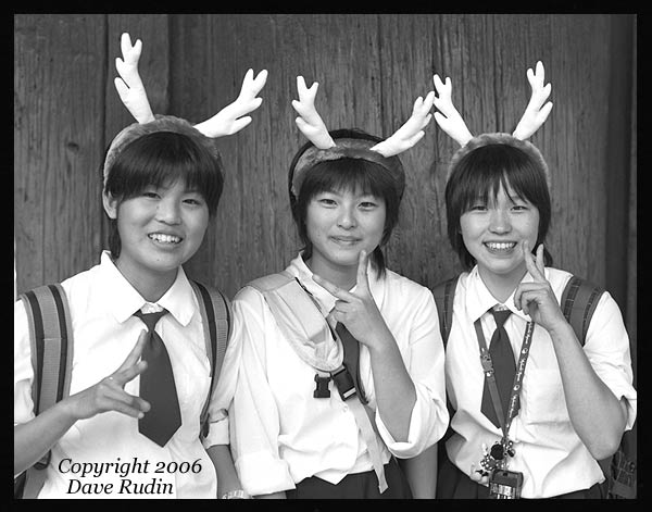 Girls With Antlers, Japan