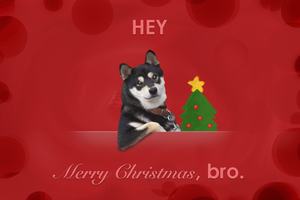 Merry Christmas... bro