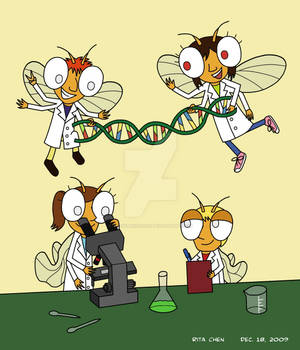 Fruit Fly Geneticists