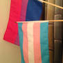 Transgender and Bisexual Flag
