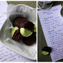 Peppermint Creams + Recipe
