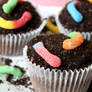 Dirt Cupcakes