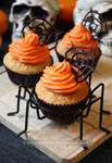 Spider Web Cupcakes by claremanson