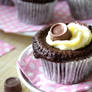 Rolo Cupcakes