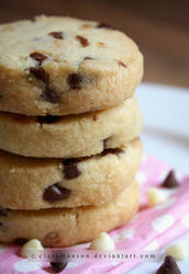 Double Chocolate Chip Shortbread (+recipe)