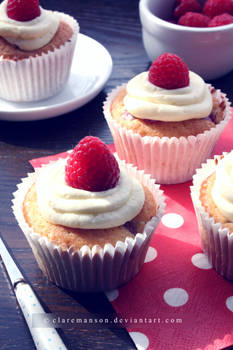 Raspberry Cupcakes