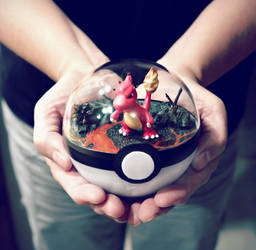 Poke Ball Terrarium - Charmeleon - Medium