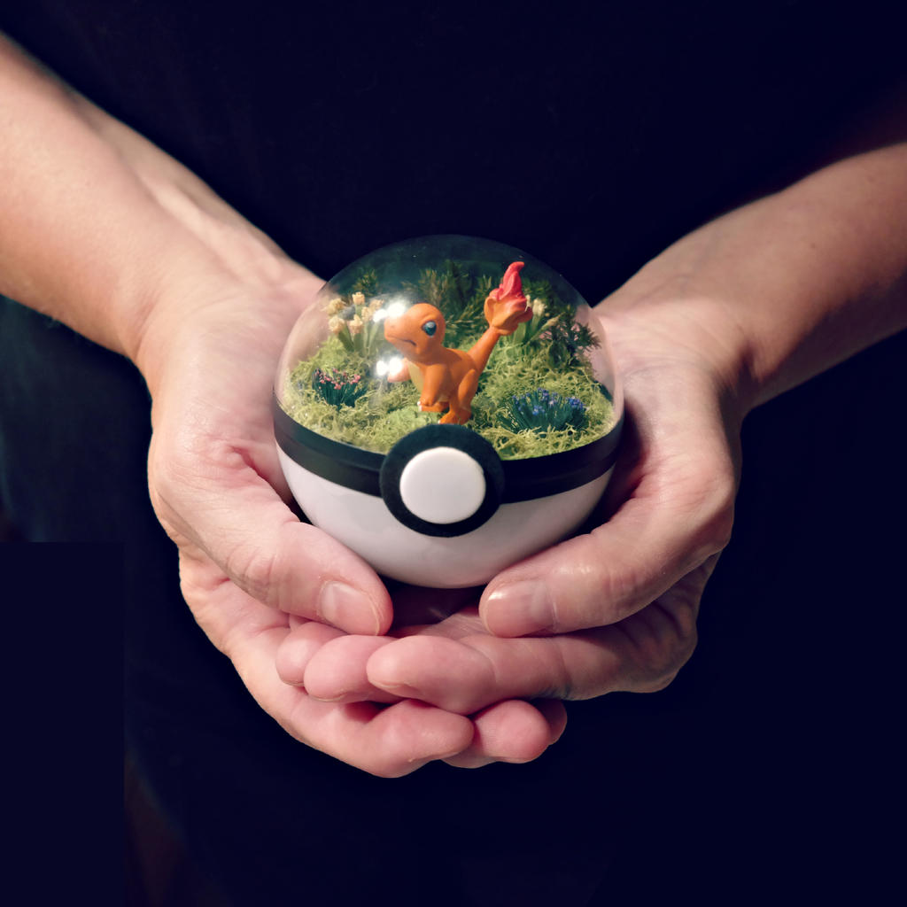 Poke Ball Terrarium - Charmander - Small