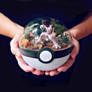 Poke Ball Terrarium - Mega Mewtwo X - Large