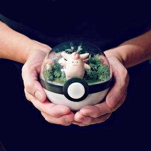 Poke Ball Terrarium - Clefable - Medium