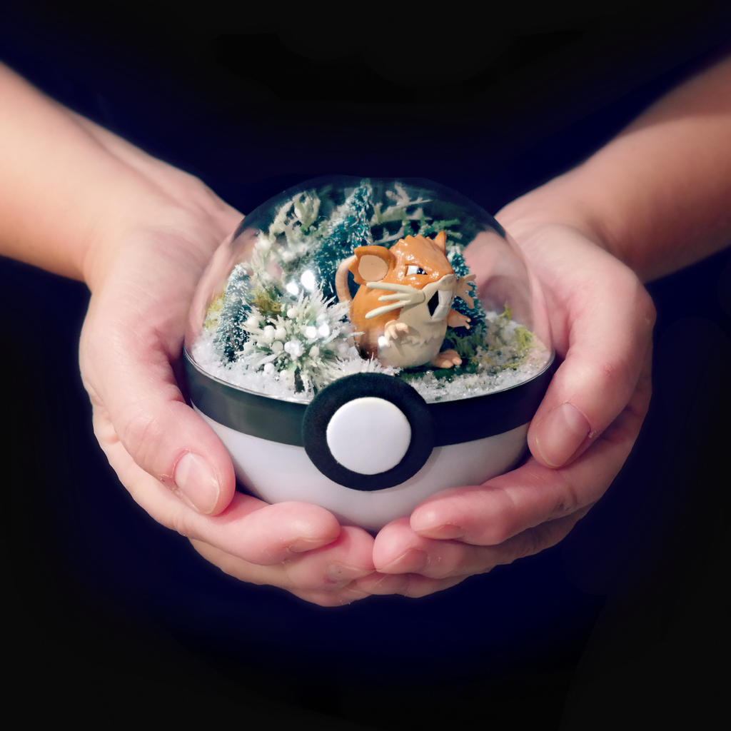 Raticate Winter Forrest - Poke Ball Terrarium