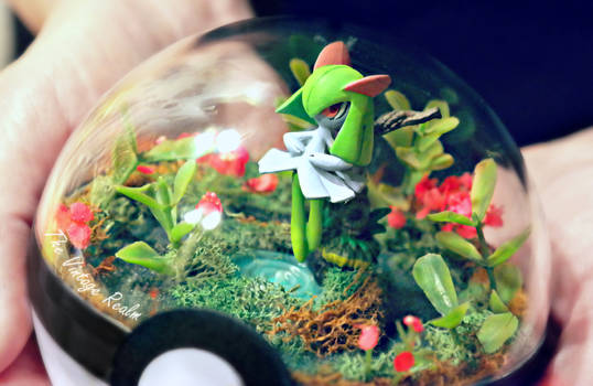 Poke Ball Terrarium CLose Up - Kirlia Garden