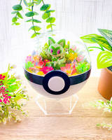 Sprigatito Pokeball Terrarium