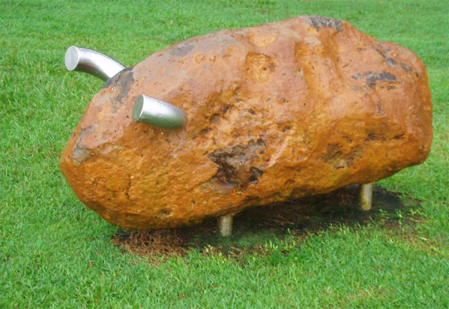 Cow Bug Rocks The Rock Cow by dontkilltherobots on DeviantArt