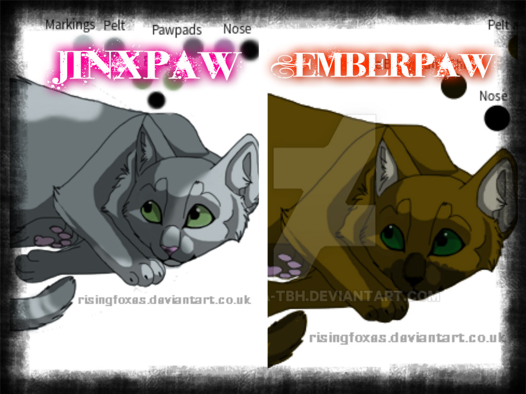 Jinxpaw and Emberpaw ~Warrior Cats OCs~