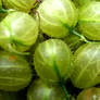 gooseberries