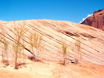 crust of the earth