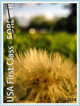 First Class Stamp