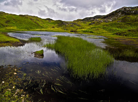 Castle Tioram XI