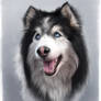Misha