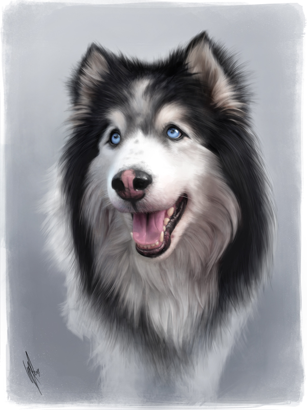 Misha by WarrenLouw