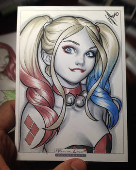 Lil Harley Quinn