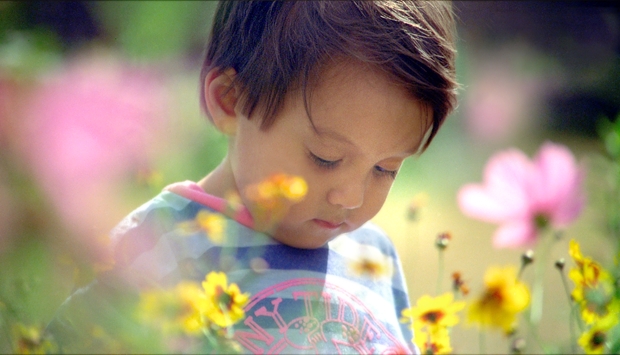 Son in Wildflowers