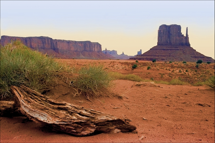 Monument Valley Driftwood