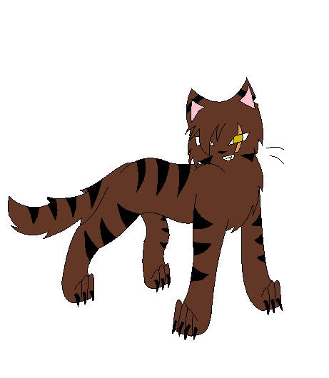 Tigerstar