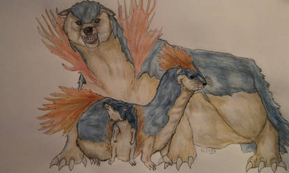 Realistic Typhlosion Evolution Line