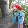 Parrot