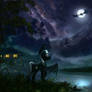 That Particular Night
