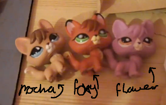 My Littlest Pet Shop Foxes~