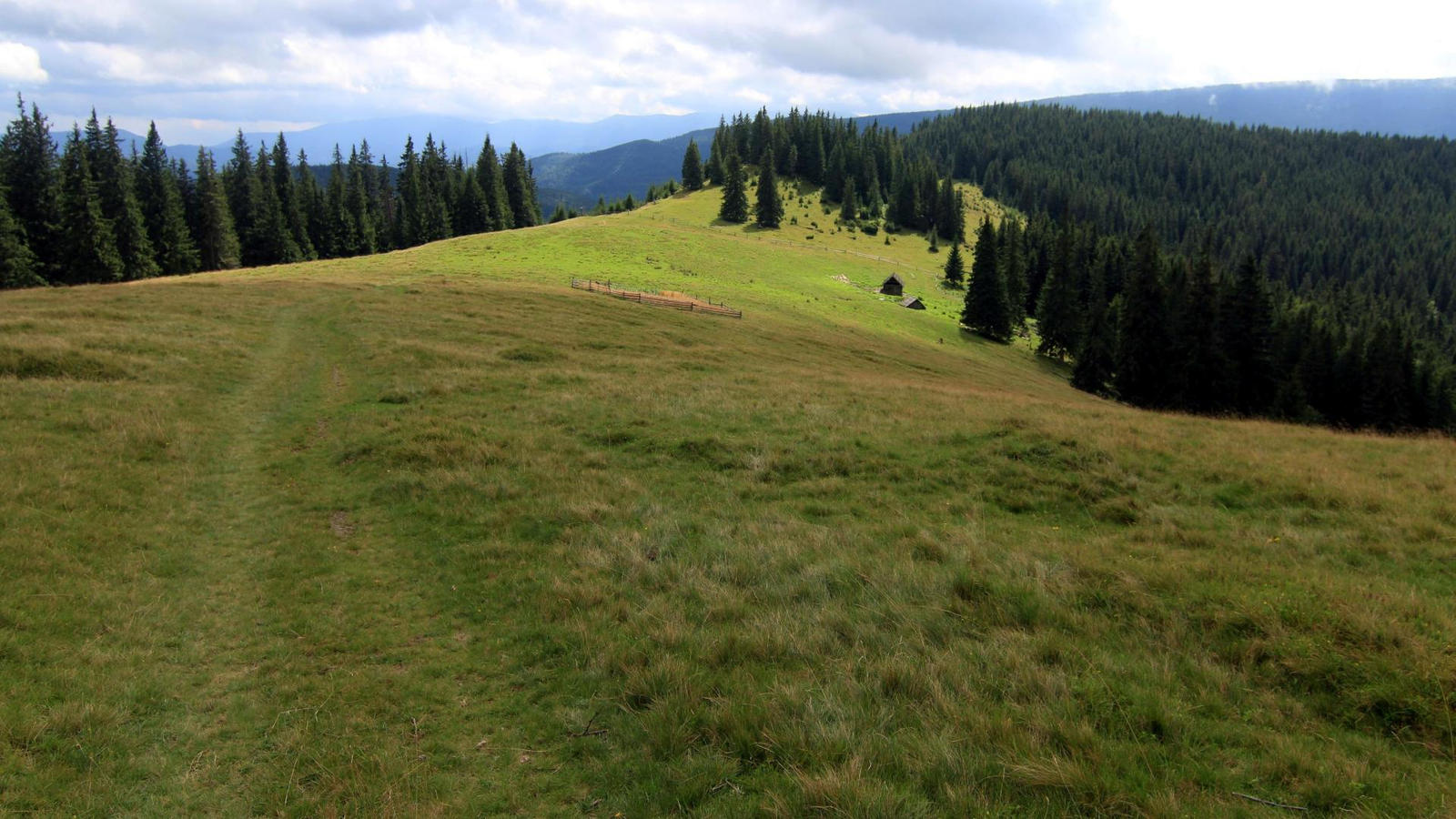 Carpathian mountains