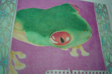 Psychedelic frog