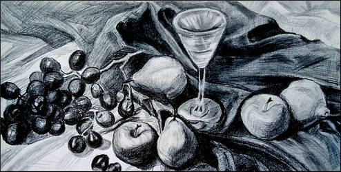 Still Life Study