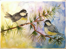 Birdy birds