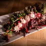 FoodCarving - Radish Flowers