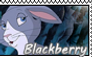 Blackberry stamp