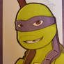 TMNT 2012 Donnie