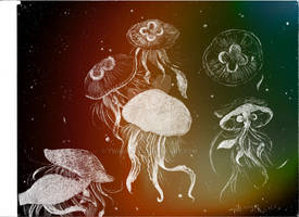 Jellyfish~