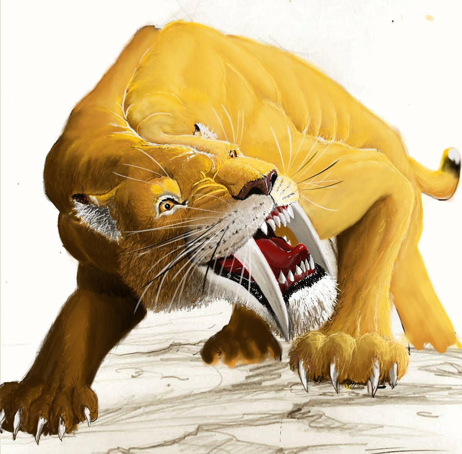 Snarling Smilodon by Sugomoli on DeviantArt