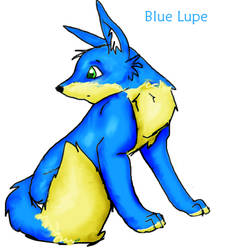 some blue lupe