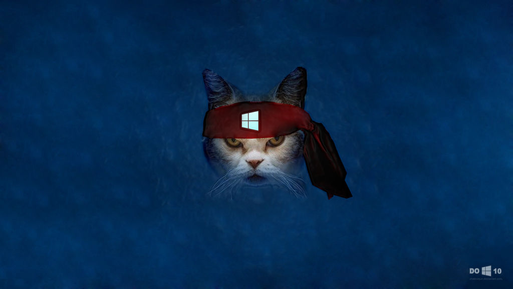 Windows 10 Anniversary Update ganha wallpaper do gato ninja; baixe