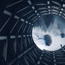 Undiscovered