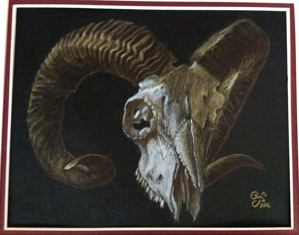 Ram Skull by Kittenpants