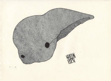 Explore the Best Protomorph Art | DeviantArt