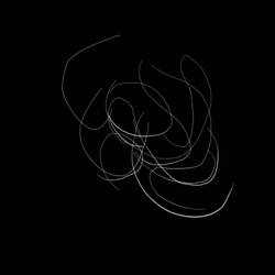 What do you see? #2
