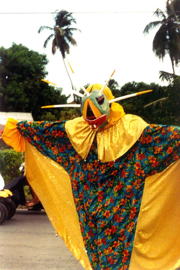Vejigante Bandera main image 0