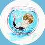 Fishbowl - Makoto the Orca